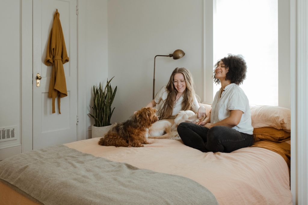 Two women sit on a bed with peach bedding, smiling and playing with a small brown dog and a white cat. A green plant and a lamp are by the bed, with a tan jacket hanging on the wall nearby. Natural light fills the room.