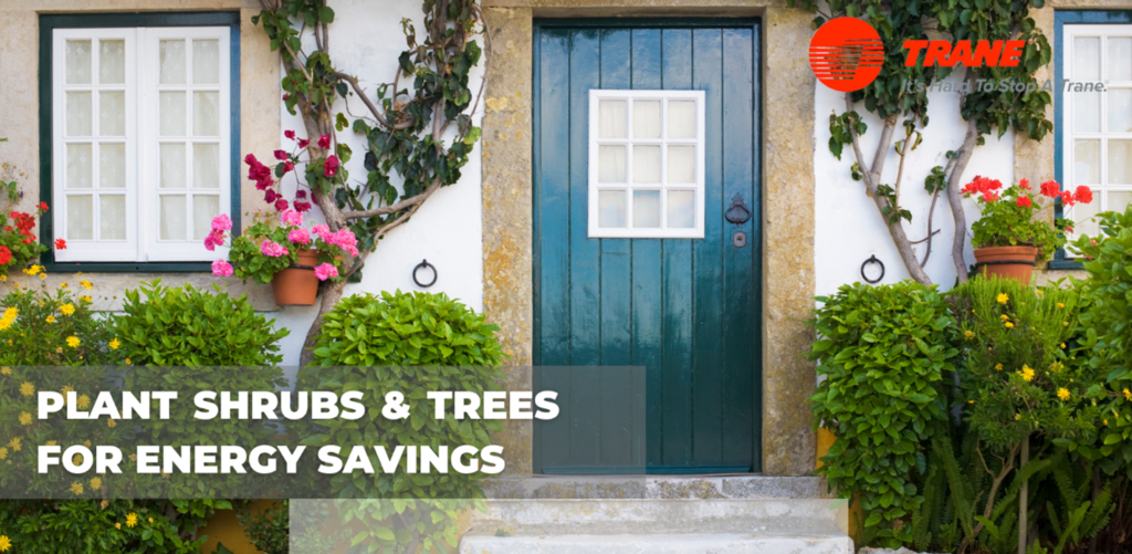 Front door of a house surrounded by green shrubs, trees, and colorful flowers in pots. Text reads “Plant shrubs & trees for energy savings.” Trane logo appears in the top right corner.
